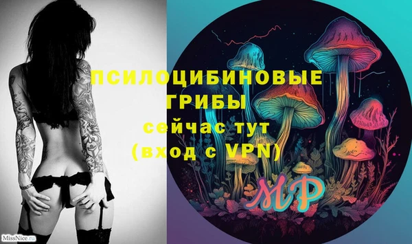 ПСИЛОЦИБИНОВЫЕ ГРИБЫ Алзамай