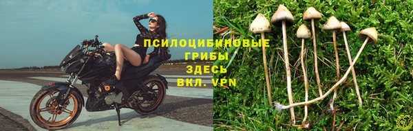гашиш Алексин