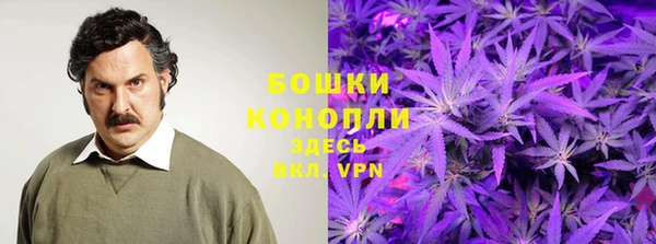ПСИЛОЦИБИНОВЫЕ ГРИБЫ Алзамай