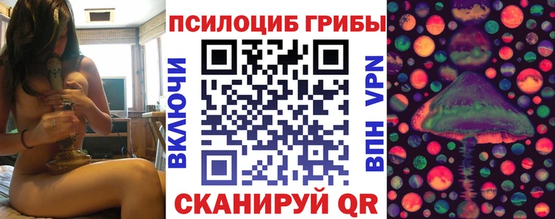 купить закладку  Серов  Галлюциногенные грибы Psilocybine cubensis 